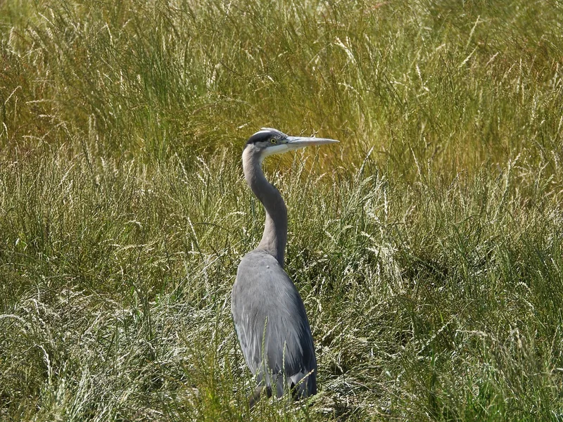 2025 근로장려금 신청기간
