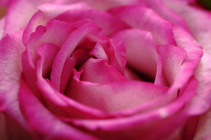 2025년 농식품바우처