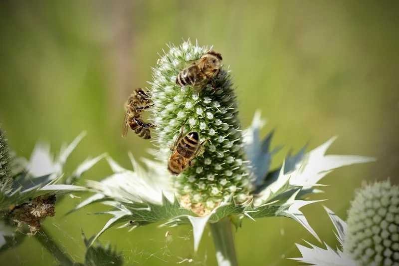 근로장려금 신청기간 놓쳤을때