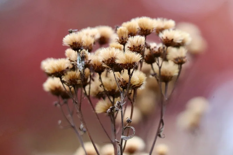 근로장려금 신청기간 놓쳤을때