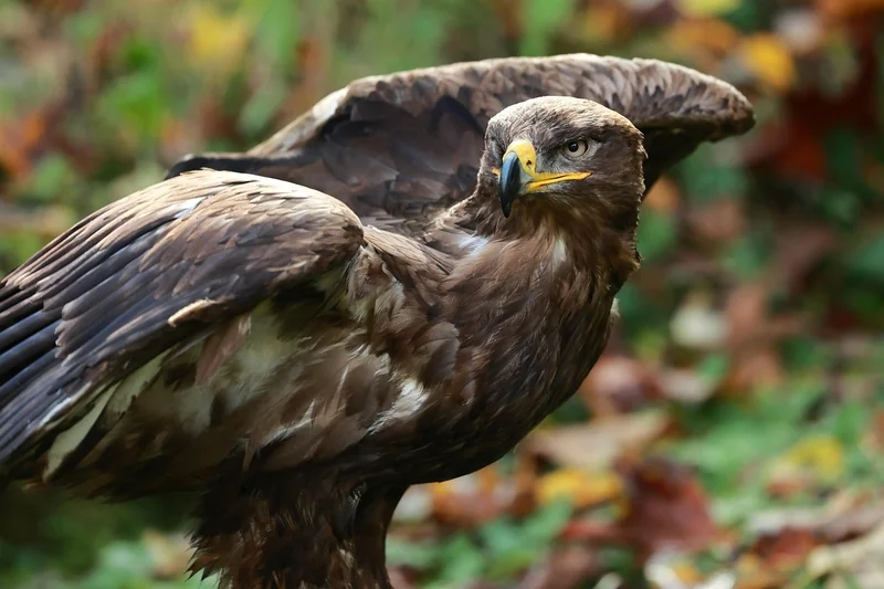 근로장려금 신청기간 지나면