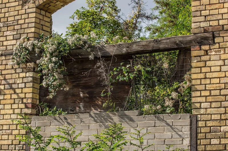 농식품바우처 사용