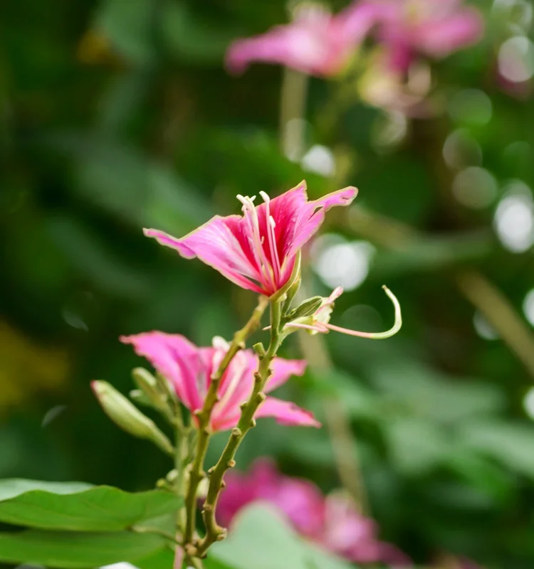 농식품바우처 카드등록