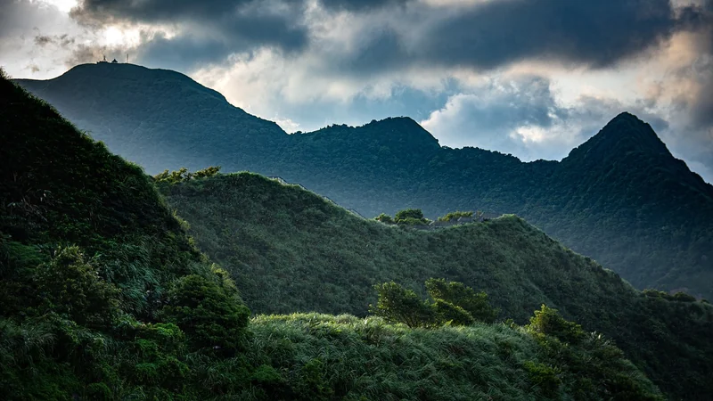 대만 여행지원금 기간