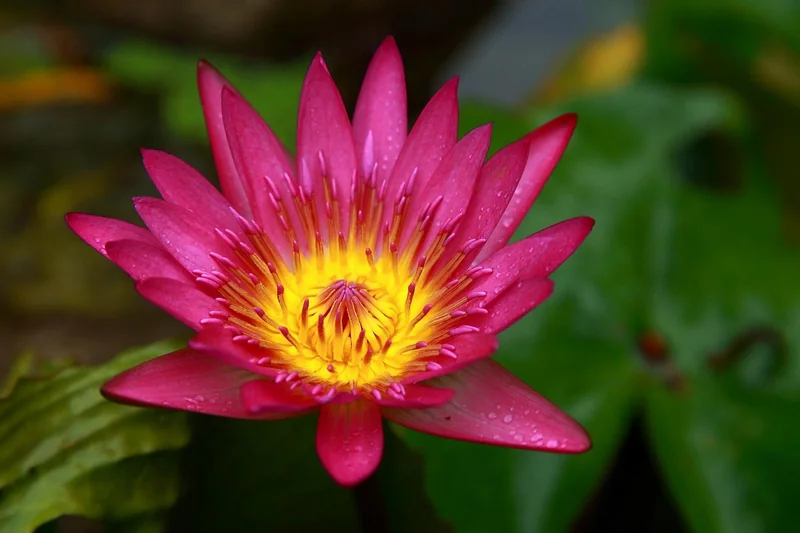 대만 여행지원금 신청방법