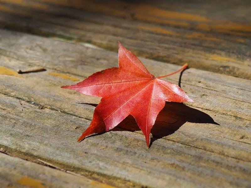 대만 여행지원금 위치