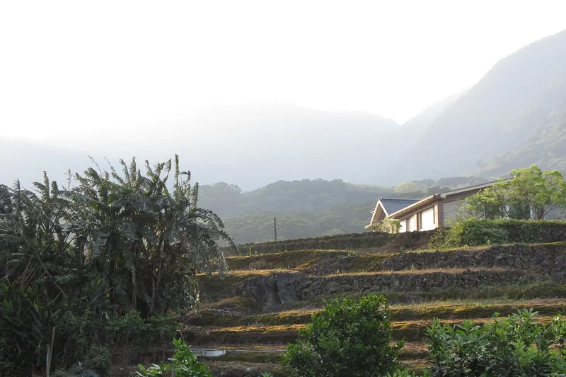 대만 여행지원금 확률