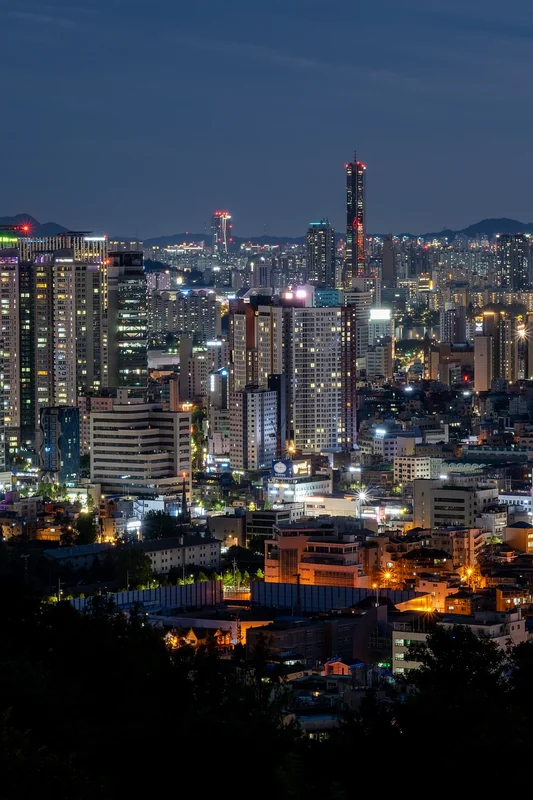 서울 청년 교통비