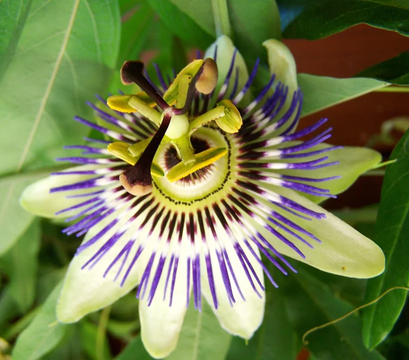 아고다 할인카드